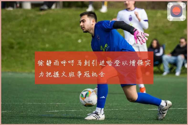 徐静雨呼吁马刺引进哈登以增强实力把握文班争冠机会