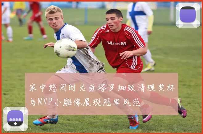 家中悠闲时光劳塔罗细致清理奖杯与MVP小雕像展现冠军风范