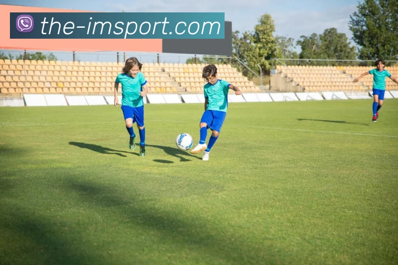 IM体育品牌故事